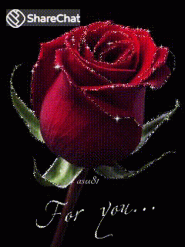 For You गुलाबआपकेलिए GIF - For You गुलाबआपकेलिए प्यार GIFs
