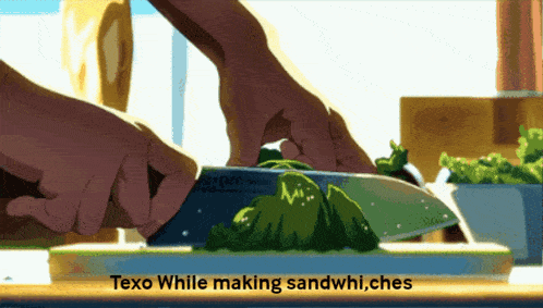 a person is cutting vegetables on a cutting board and the words texo while making sandwhi ches are below them