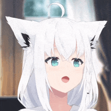 a girl with white hair and cat ears has a surprised expression on her face