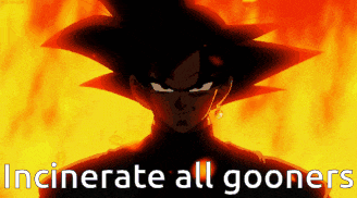 a picture of a cartoon character with the words " incinerate all gooners " below it