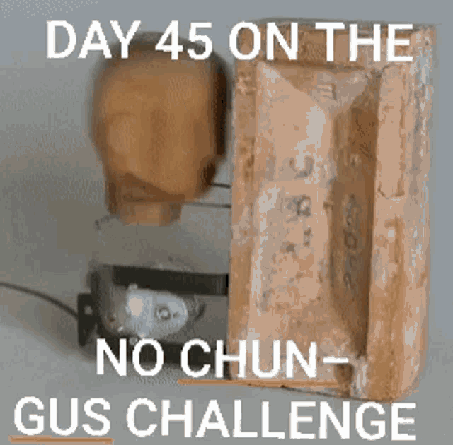 Big Chungus 45day GIF - Big Chungus 45day Challenge Accepted GIFs