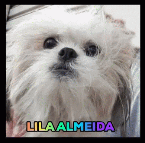 Lila Almeida Lila GIF - Lila Almeida Lila Cute GIFs
