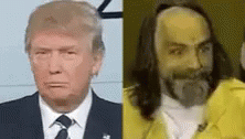 Election Trump GIF - Election Trump Donald GIFs