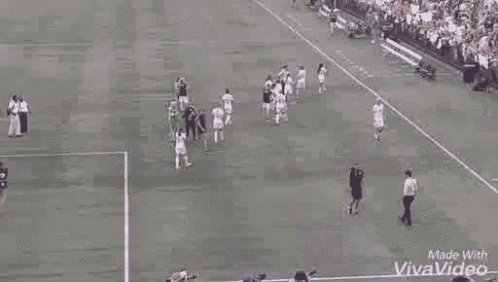 a group of people are standing on top of a soccer field watching a game .