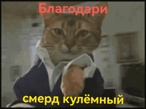 a cat is wearing a suit and tie with the words " благодари " in red behind it