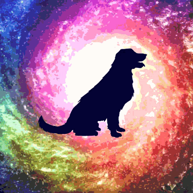 a silhouette of a dog sitting in front of a rainbow colored background