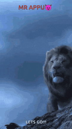 a picture of a lion with the words let 's go written below it