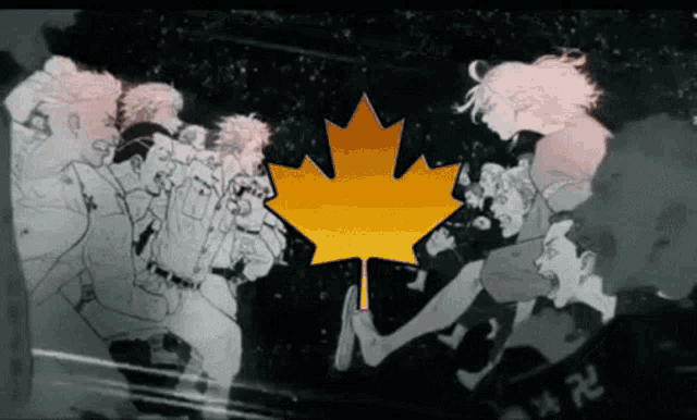 a group of people are standing next to each other with a maple leaf in the middle .
