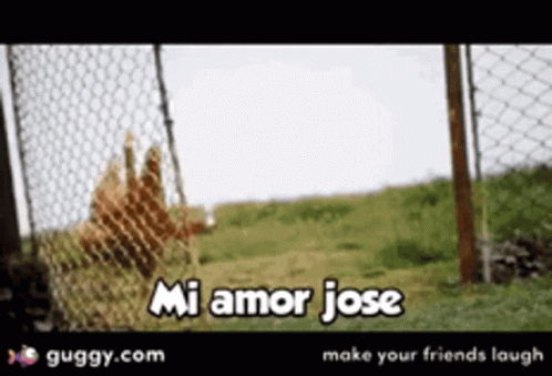 Mi Amor GIF - Mi Amor Jose GIFs