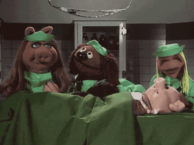 Muppets Muppet Show GIF - Muppets Muppet Show Veterinarians Hospital GIFs
