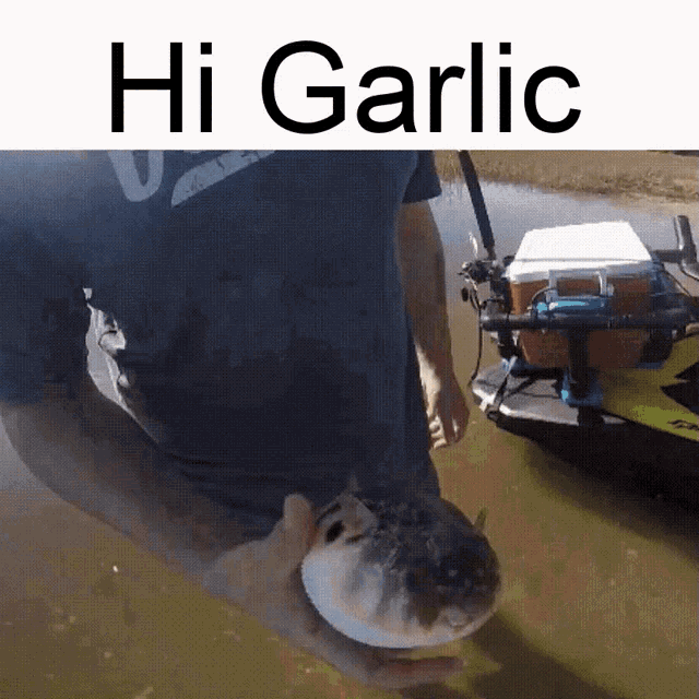 Hi Garlic GIF - Hi Garlic GIFs