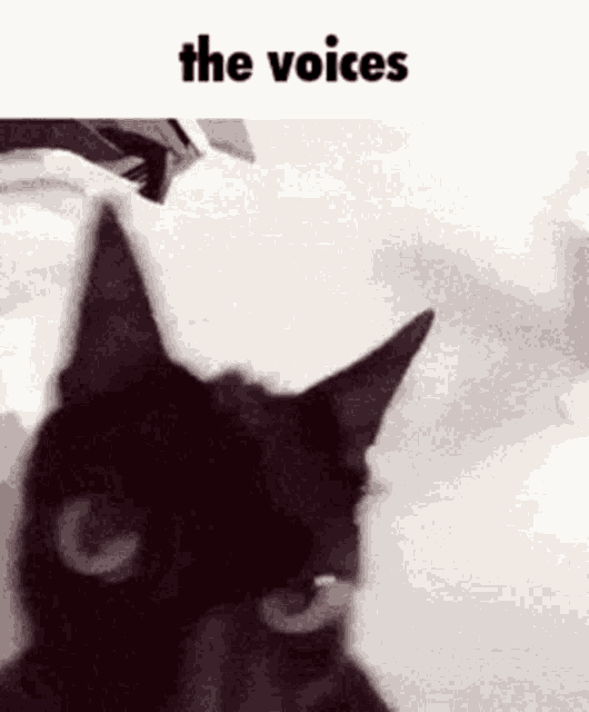 a picture of a cat with the words the voices below it