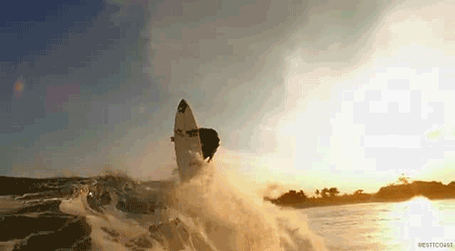 Surf GIF - Surf Surfing Wave GIFs