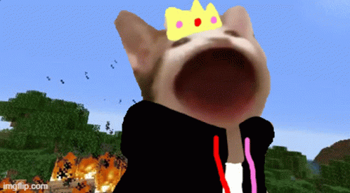 Shaabloom Pop Cat GIF - Shaabloom Pop Cat Minecraft GIFs