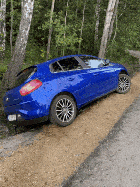 Fiut Bravo GIF