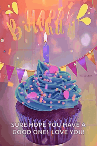 a birthday cupcake with blue frosting and a candle on top .