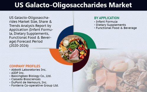 Us Galacto Oligosaccharides Market GIF