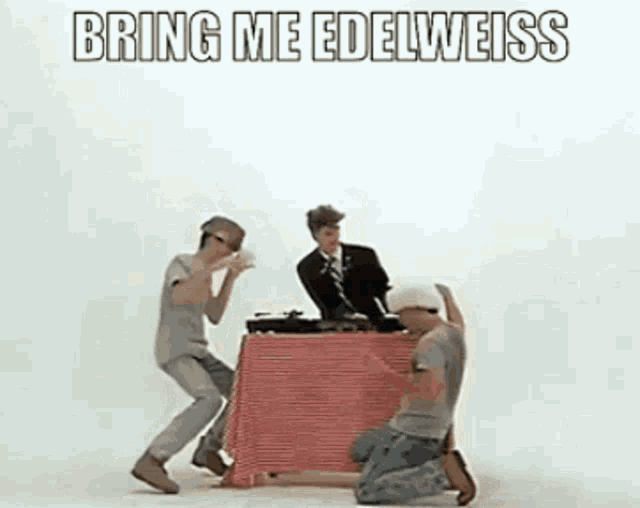 Edelweiss Bring Me Edelweiss GIF - Edelweiss Bring Me Edelweiss If You Really Love Me GIFs