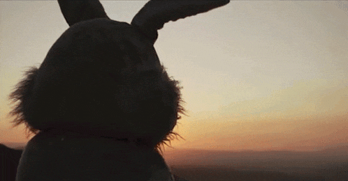 a stuffed animal with bunny ears is looking at the sunset .