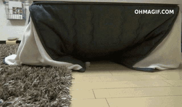 a gif of a rug under a table that says ' ohmagif.com ' on it