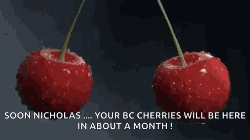 two cherries are falling into water with the words " soon nicholas ... your bc cherries will be here in about a month ! "