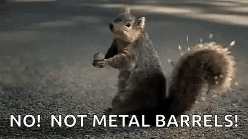a squirrel is standing on its hind legs on the ground holding a nut .