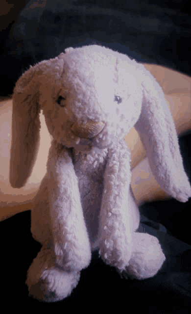 a person is holding a purple stuffed bunny