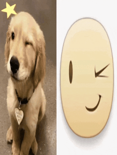 a dog with a tag that says good boy next to a smiley face