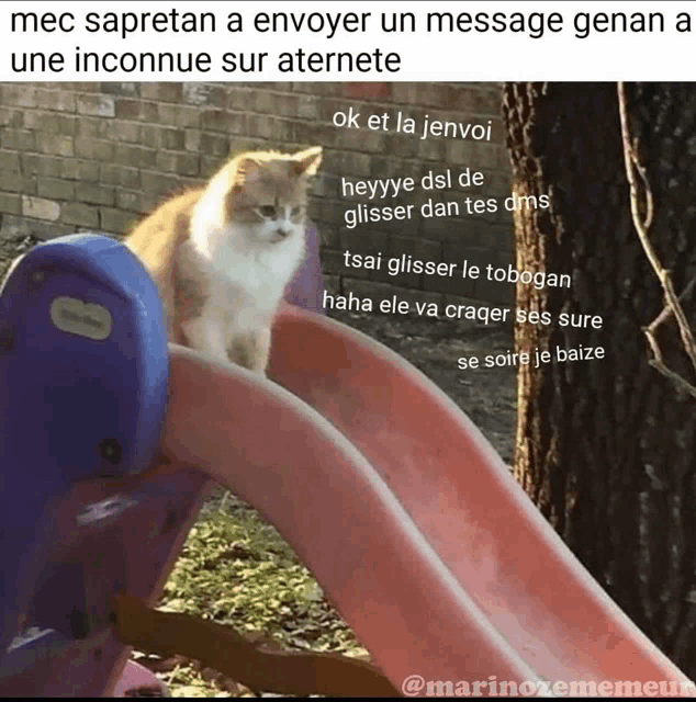 a cat sitting on top of a slide with the caption mec sapretan
