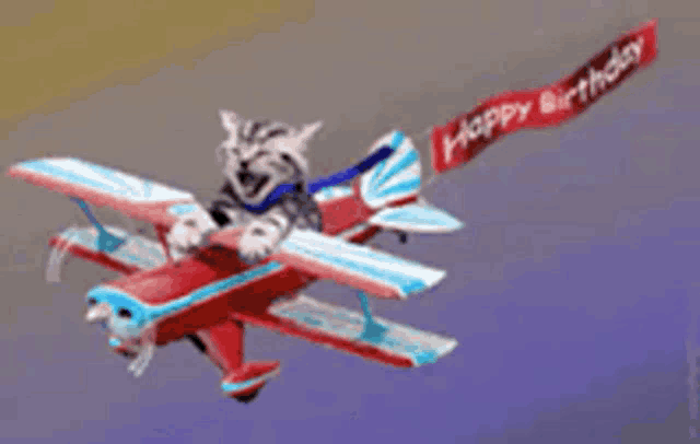 a cat is riding a plane with a happy birthday banner attached to it
