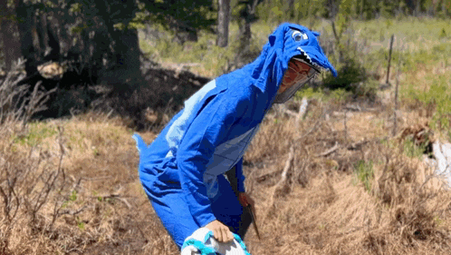 a person dressed in a blue shark costume