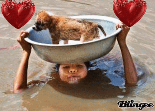 a picture of a person holding a bowl with a puppy in it and the word blingee in the corner