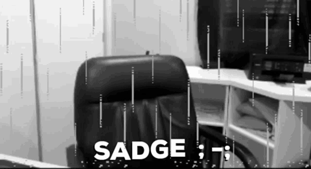 a black and white photo of a chair with the words sadge written on it