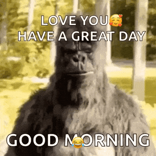 a picture of a gorilla with the words love you have a great day good morning