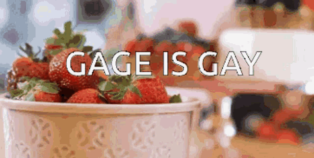 Gage Is Gay Gage GIF - Gage Is Gay Gage Gay GIFs