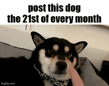 a picture of a dog with the words post this dog the 21st of every month