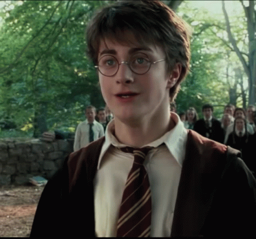 Harry Potter Potter GIF - Harry Potter Potter Potter Scar GIFs
