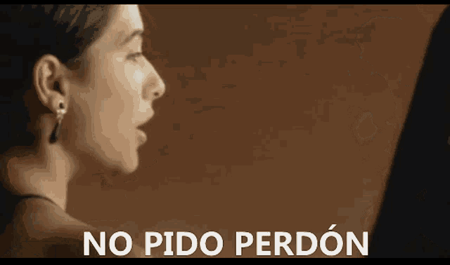 a woman looks at herself in a mirror and the words no pido perdon are visible
