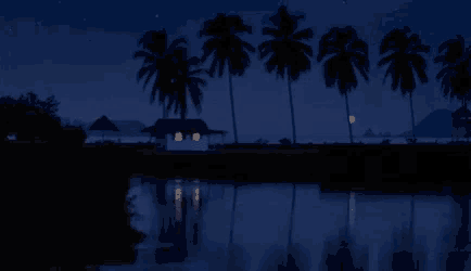 fireworks are displayed over a body of water with palm trees in the background