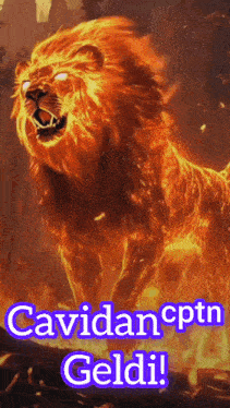 a picture of a flaming lion with the words cavidancptr geldi
