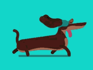 a dachshund is wearing a scarf around its neck