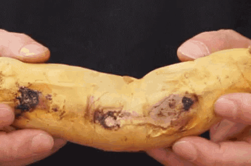 a person is holding a banana in their hands with a black background .