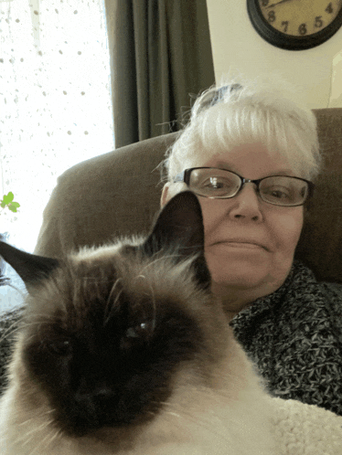 a woman wearing glasses sits on a couch with a cat looking at the camera