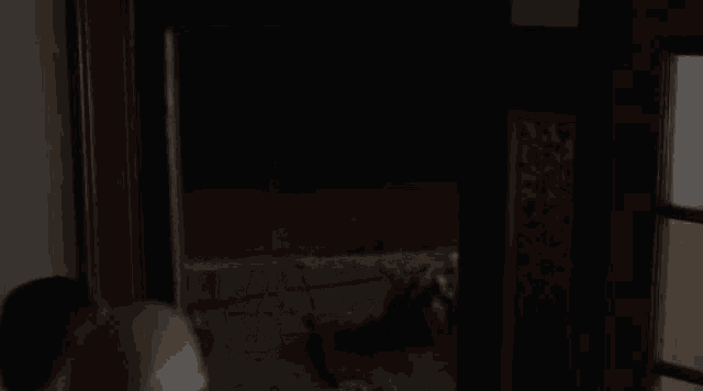 a person is standing in a dark room looking out a window .