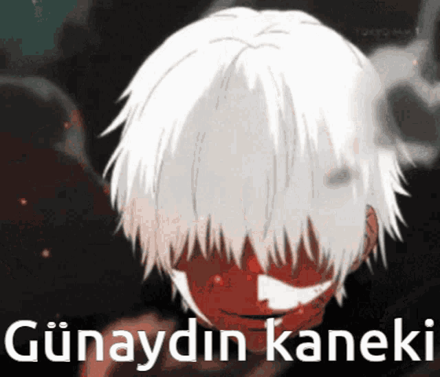 a picture of a person with white hair and the words günaydin kaneki