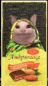 a picture of a cat with a scarf around its head is on a box of food