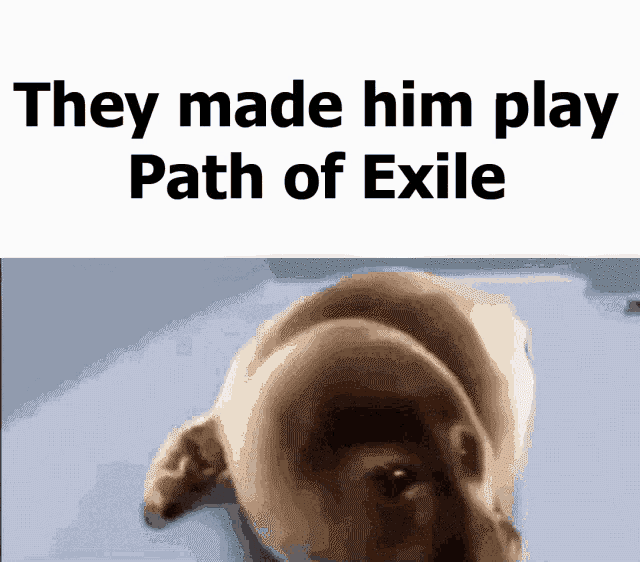 Path Of Exile They Made Him Play Path Of Exile GIF - Path Of Exile They Made Him Play Path Of Exile GIFs