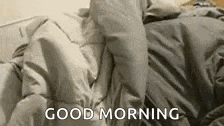 a person is laying on a bed with a good morning message on it .