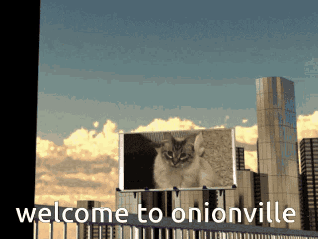 a billboard says welcome to onionville with a cat on it