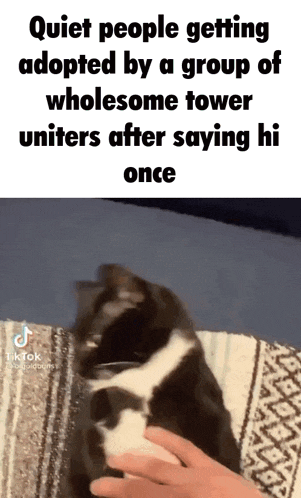 a black and white cat is being petted by a person on a bed .